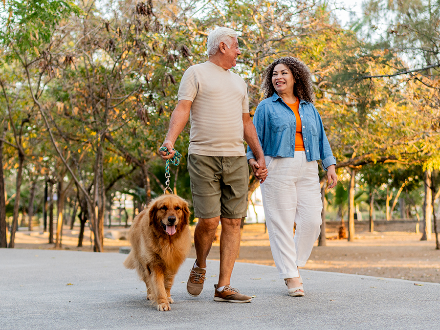 Stock photo shows an older couple walking along a sidewalk with a dog on leash. The people are holding hands and looking at each other lovingly. Behind them are trees.