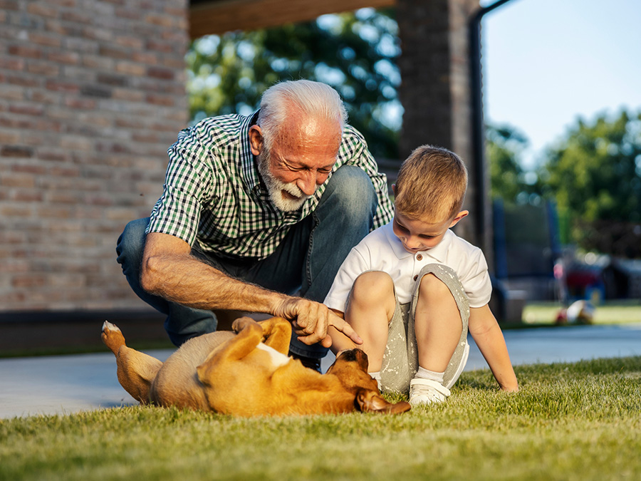 Stock photo shows an older man and a young boy. They are outside, crouched, and playing with a puppy.