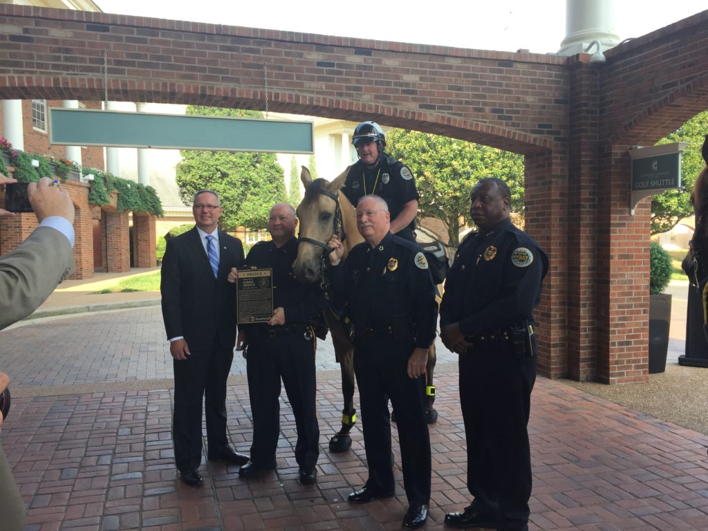 Nashville Mounted Patrol Horse Named After Fallen Omaha Officer ...