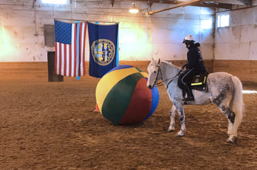 An Omaha Police Department Mounted Patrol Unit officer rides his all white horse through the training course.