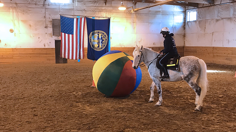 An Omaha Police Department Mounted Patrol Unit officer rides his all white horse through the training course.