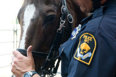 Omaha Police Horse Naming Contest Winner is "Blue"